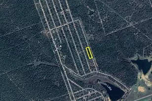 Tbd Pine St, Paige, TX 78659 - Photo 1