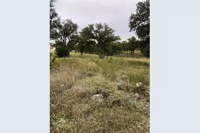 99 Axis Circle, Fredericksburg, TX 78624 - Photo 3