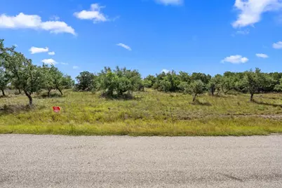31890 Mirela Ann Road, Dripping Springs, TX 78620 - Photo 3