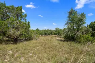 31890 Mirela Ann Rd, Dripping Springs, TX 78620 - Photo 1