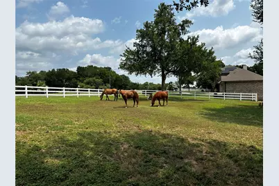 197 Colorado Drive, Cedar Creek, TX 78612 - Photo 3