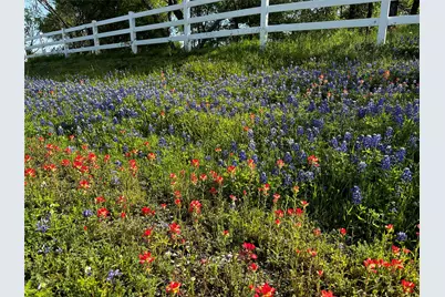 197 Colorado Drive, Cedar Creek, TX 78612 - Photo 5