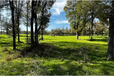 197 Colorado Drive, Cedar Creek, TX 78612 - Photo 9