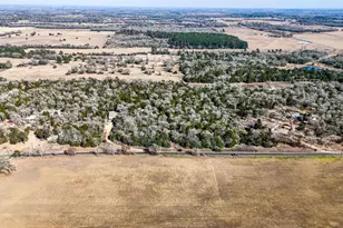 521 Paint Creek S Rd, Paige, TX 78659 - Photo 7