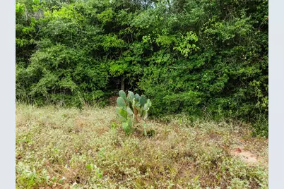 308 The Oaks Boulevard, Elgin, TX 78621 - Photo 13