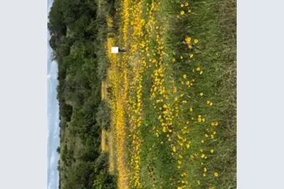 207 Verbena Court, Johnson City, TX 78636 - Photo 1