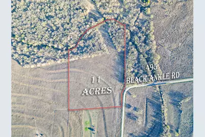 495 Black Ankle Road, Lockhart, TX 78644 - Photo 3