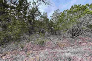 Hb Lot K10033 Mountain Dew, Horseshoe Bay, TX 78657 - Photo 13