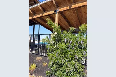 486 El Capitan Loop, Dripping Springs, TX 78620 - Photo 19