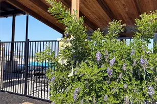 486 El Capitan Loop, Dripping Springs, TX 78620 - Photo 19