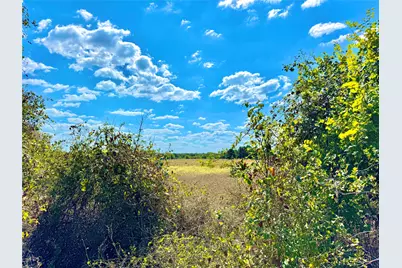 Tbd 50.62 Acres Rabel Road, Rosanky, TX 78953 - Photo 7