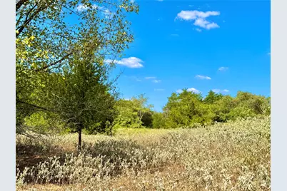 Tbd 50.62 Acres Rabel Road, Rosanky, TX 78953 - Photo 11