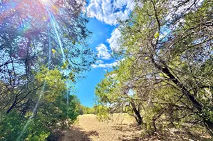 Tbd 50 62 Acres Rabel Rd, Rosanky, TX 78953 - Photo 1