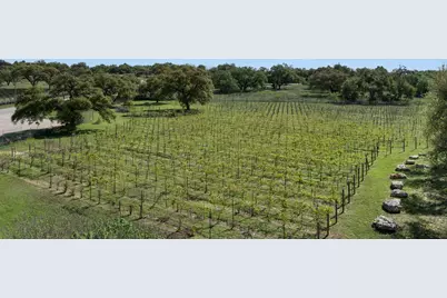 18059 Fm 1826 Road, Driftwood, TX 78619 - Photo 11