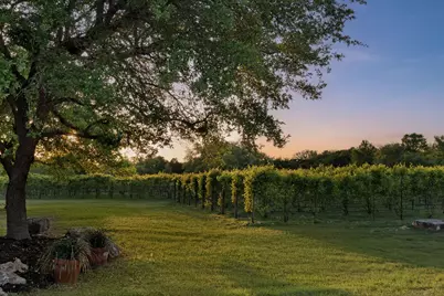 18059 Fm 1826 Road, Driftwood, TX 78619 - Photo 9