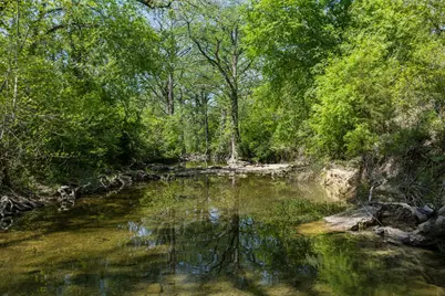 18059 Fm 1826 Road, Driftwood, TX 78619 - Photo 13