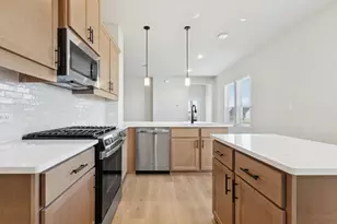 247 Grayson Elm Pass, Dripping Springs, TX 78620 - Photo 5