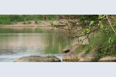 600 Fir Lane, Cottonwood Shores, TX 78657 - Photo 23