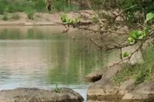 600 Fir Ln, Cottonwood Shores, TX 78657 - Photo 23