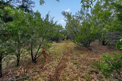 270 Rambling Oaks Drive, Wimberley, TX 78676 - Photo 39