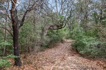 153 Old Wingo Place, McDade, TX 78650 - Photo 25