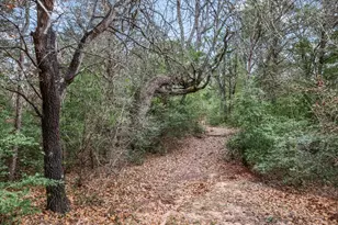 153 Old Wingo Pl, McDade, TX 78650 - Photo 25