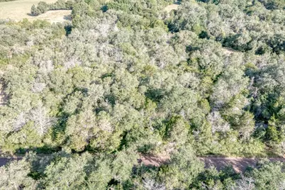 Tbd Wied Road, La Grange, TX 78945 - Photo 9