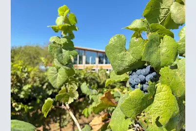 9361 W US Highway 290 #106, Hye, TX 78635 - Photo 33