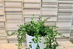 4012 Manifest Ln, Austin, TX 78731 - Photo 9