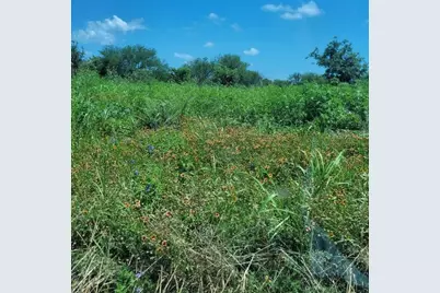 0 Emil Blank Road, Yoakum, TX 77995 - Photo 3