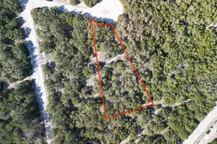 20703 Ambush Cove, Leander, TX 78645 - Photo 1