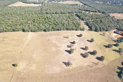 2055 Cr 481 Tract 1, Thrall, TX 76578 - Photo 23