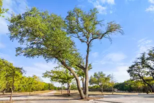 205 Mesquite Trail, Wimberley, TX 78676 - Photo 17