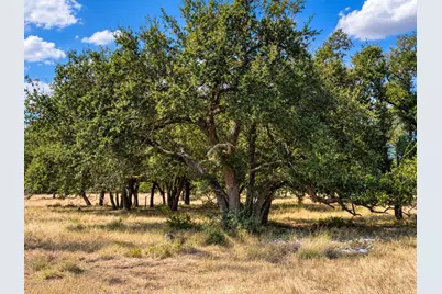 Lot 123 Fallow Drive Drive, Harper, TX 78631 - Photo 3