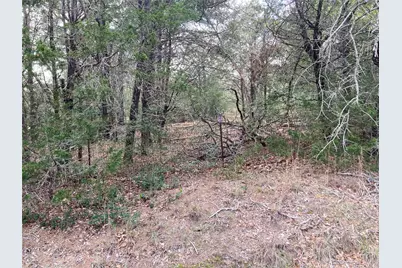 314 Green Oaks Drive #Lot 14-B, Bastrop, TX 78602 - Photo 1