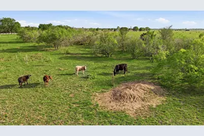 20326 Fm 969 #5, Webberville, TX 78653 - Photo 29