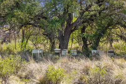 9580 Smith West Ranch Road, Round Mountain, TX 78663 - Photo 15