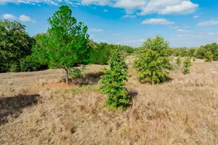 164 Bull Run Rd, Cedar Creek, TX 78612 - Photo 35