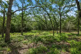 138 Wood Hollow Ct, Bastrop, TX 78602 - Photo 37