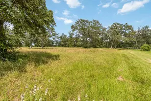 1208 Jeddo Rd, Rosanky, TX 78953 - Photo 37