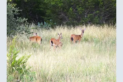 728 Cr 206, Lampasas, TX 76550 - Photo 5