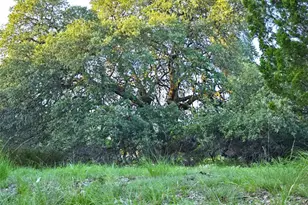 728 Cr 206, Lampasas, TX 76550 - Photo 3