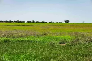 Tbd Tract 2 County Road 203, Burnet, TX 78611 - Photo 13