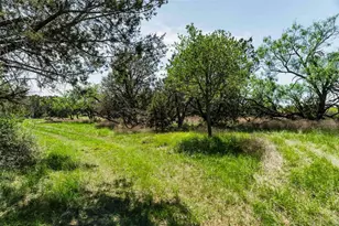 Tbd Tract 2 County Road 203, Burnet, TX 78611 - Photo 5