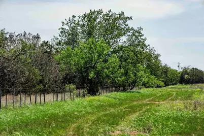 Tbd Tract 2 County Road 203, Burnet, TX 78611 - Photo 15