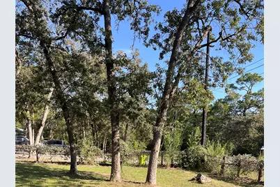 242 Shadow Oak Drive, Bastrop, TX 78602 - Photo 29