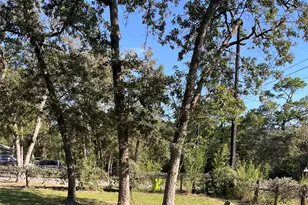 242 Shadow Oak Dr, Bastrop, TX 78602 - Photo 29