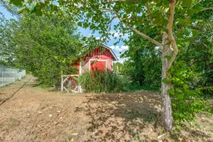 1035 Palomino Rd, Kyle, TX 78640 - Photo 11