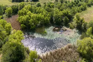 1035 Palomino Rd, Kyle, TX 78640 - Photo 11