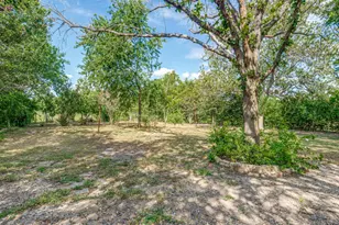 1035 Palomino Rd, Kyle, TX 78640 - Photo 23